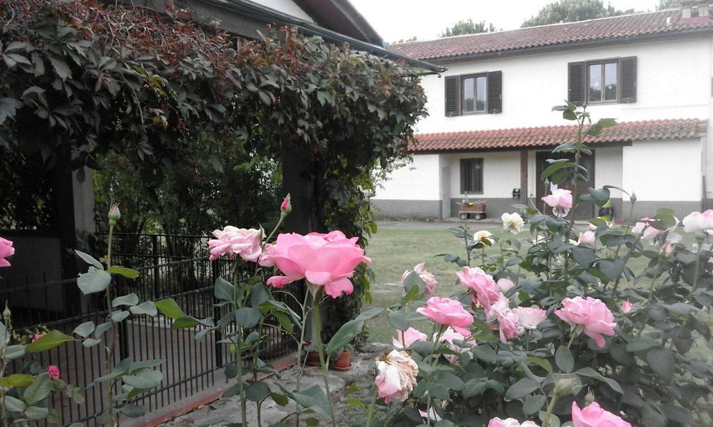 Artenatura Beb Terranuova Bracciolini Exterior photo